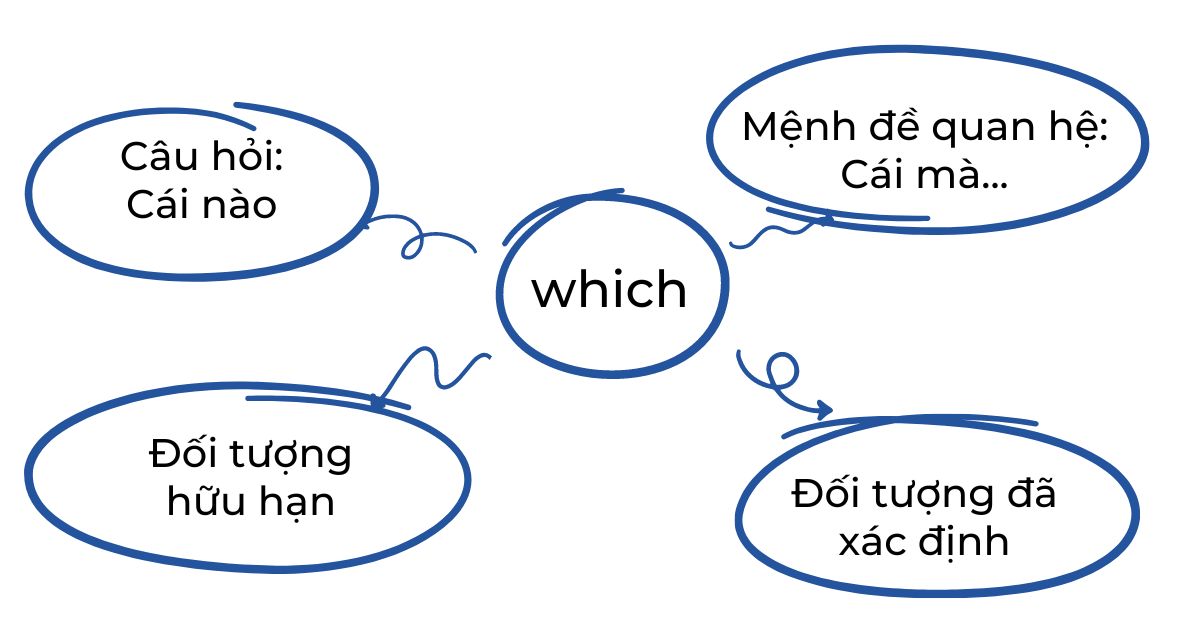 Which là gì? Tổng hợp cách dùng Which chi tiết và bài tập vận dụng