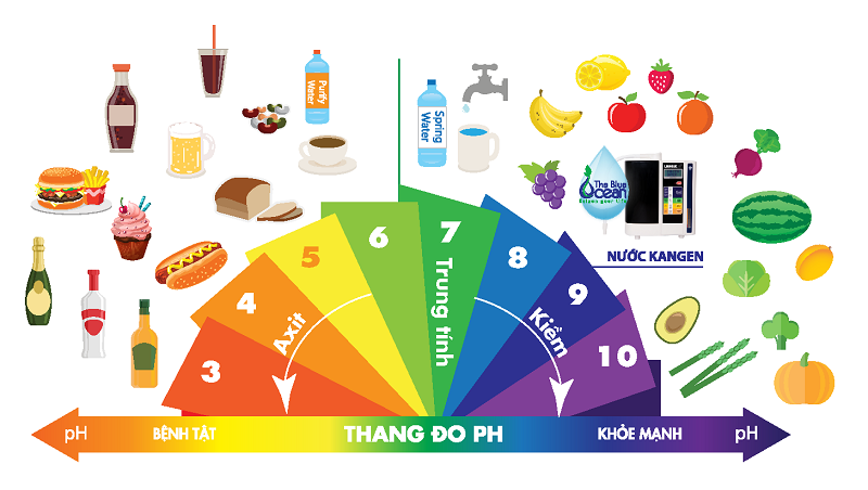 Ý nghĩa chỉ số pH nước tiểu là gì?