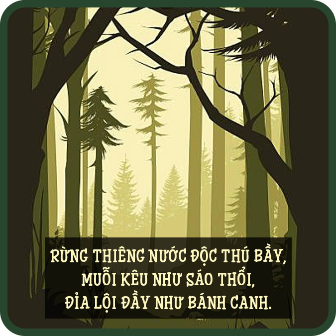 100 câu ca dao, tục ngữ, thành ngữ về quê hương, đất nước, con người Việt Nam