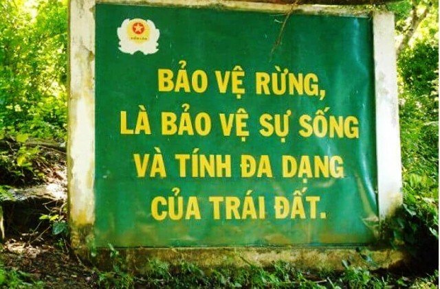 Bảo vệ rừng - lá chắn tốt trong phòng chống thiên tai