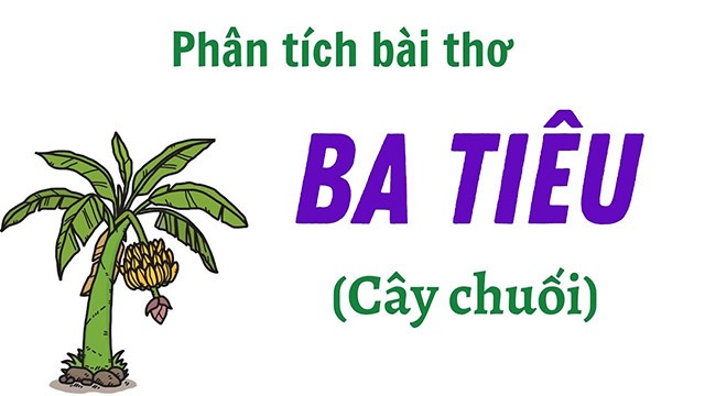 Các thể thơ thường gặp trong Văn học Việt Nam