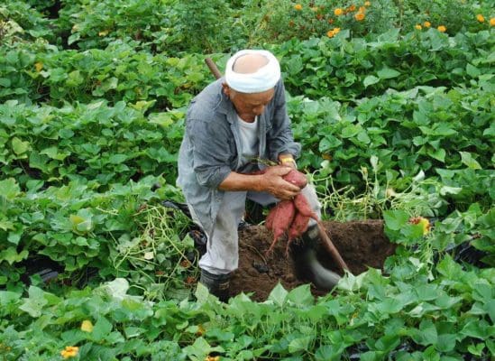 Biên độ nhiệt là gì? Cách tính biên độ nhiệt độ và ý nghĩa của nó?