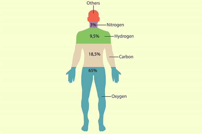 Những nguyên tố hóa học nào có trong cơ thể người?