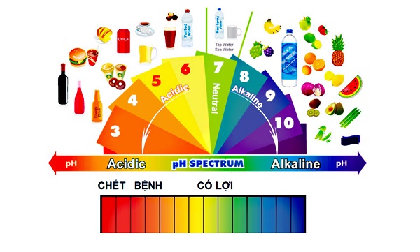 Độ pH là gì? Cách tính độ pH và độ pH của một số dụng dịch phổ biến