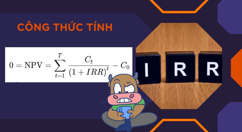 Chỉ số IRR là gì? Công thức tính, ưu điểm và hạn chế