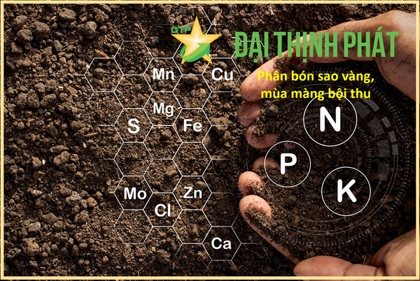 PHÂN PHỨC HỢP LÀ GÌ? PHÂN BÓN PHỨC HỢP CÓ CÔNG DỤNG VÀ VAI TRÒ CHÍNH NHƯ THẾ NÀO?