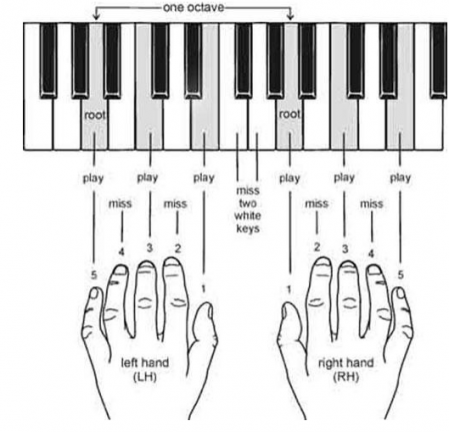 Tìm hiểu Nốt nhạc, Hợp âm, Nhạc lý Piano cơ bản