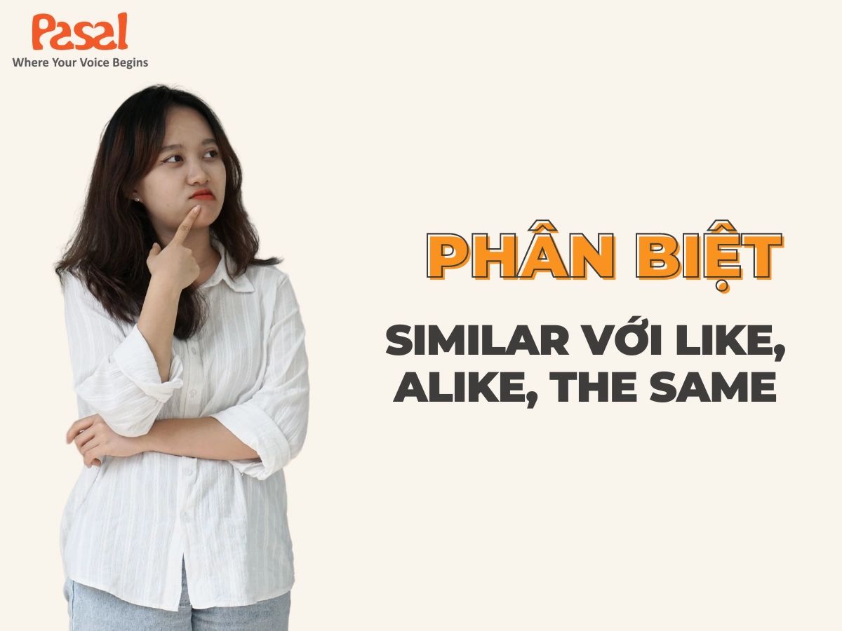 Similar đi với giới từ gì? Phân biệt Similar với Like, Alike, The same