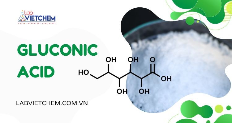 Gluconic là axit gì? Điều chế và ứng dụng của nó trong các lĩnh vực