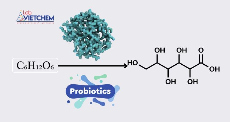 Gluconic là axit gì? Điều chế và ứng dụng của nó trong các lĩnh vực