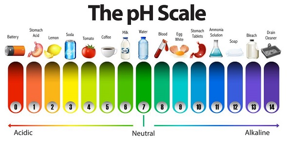 Độ pH là gì? Cách tính độ pH và độ pH của một số dụng dịch phổ biến