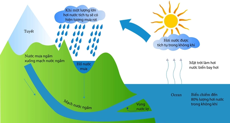 Thông tin về chu trình trong vòng tuần hoàn nước