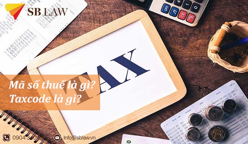 Mã số thuế là gì? Tax code là gì? Cách tra cứu mã số thuế đơn giản nhất