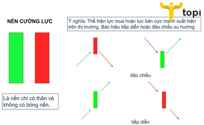 Hướng dẫn cách đọc biểu đồ nến nhật đơn cho nhà đầu tư mới