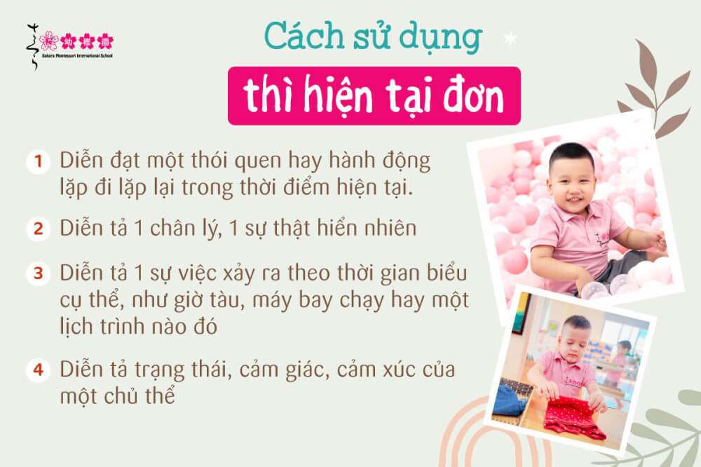 Thì hiện tại đơn: Khái niệm, dấu hiệu nhận biết và cách sử dụng