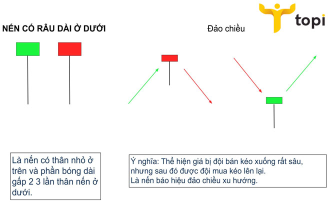 Hướng dẫn cách đọc biểu đồ nến nhật đơn cho nhà đầu tư mới