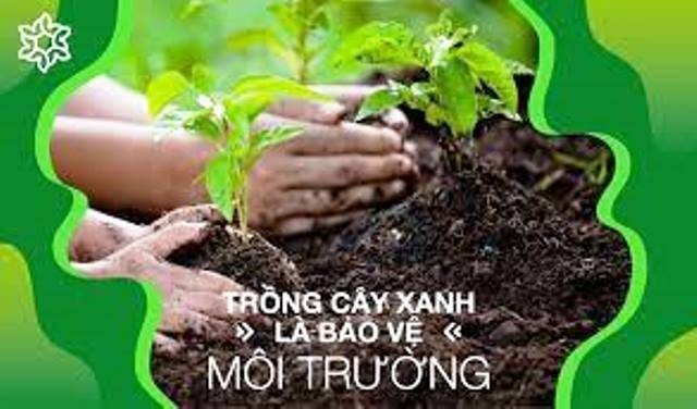 Bảo vệ rừng - lá chắn tốt trong phòng chống thiên tai