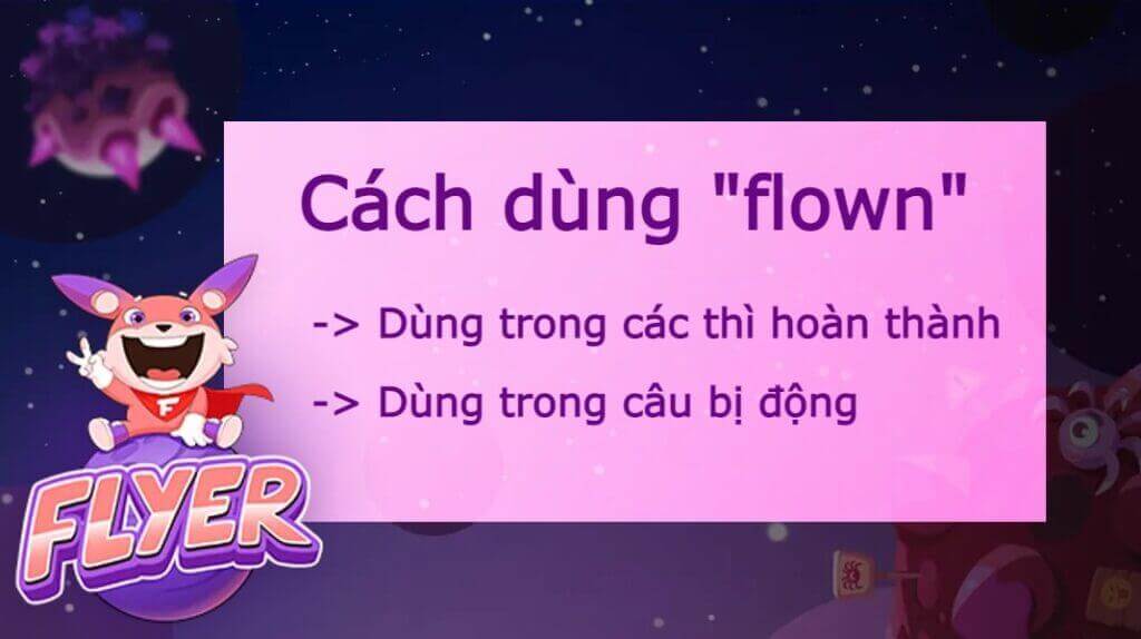 Quá khứ của “fly” là gì? Cách dùng quá khứ của “fly” chi tiết nhất mà bạn không thể bỏ qua