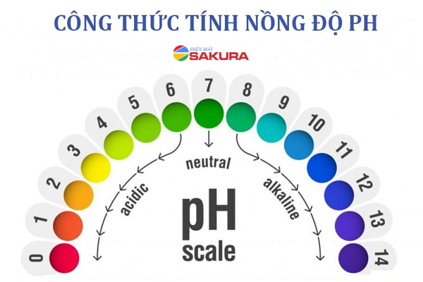 Công thức tính pH và công cụ đo nồng độ pH trong nước