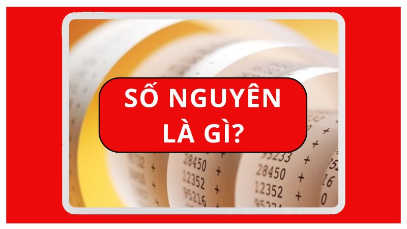 Số nguyên là gì? Đặc điểm, phân loại và ứng dụng trong toán học