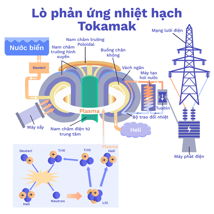 Lý thuyết phản ứng nhiệt hạch