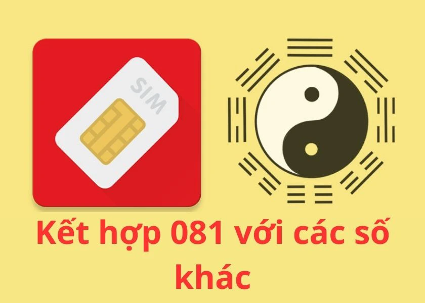 Đầu số 081 là mạng gì? Ý nghĩa của SIM số đẹp đầu 081 là gì?