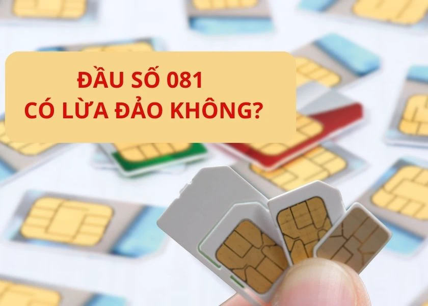 Đầu số 081 là mạng gì? Ý nghĩa của SIM số đẹp đầu 081 là gì?