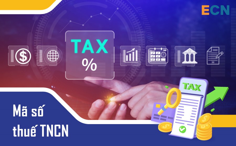 Hướng dẫn chi tiết 06 cách tra mã số thuế TNCN online 2024