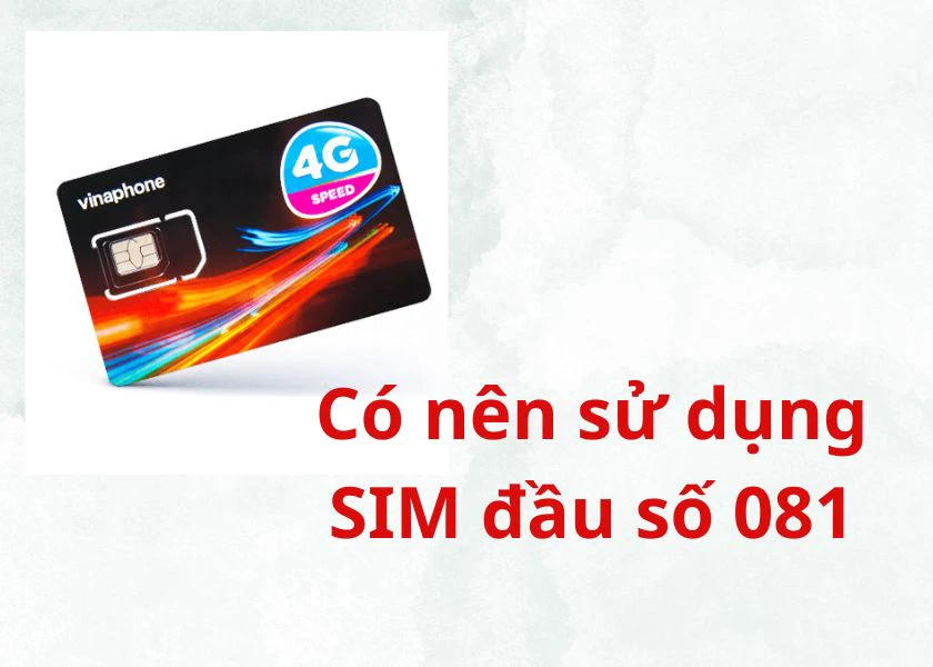 Đầu số 081 là mạng gì? Ý nghĩa của SIM số đẹp đầu 081 là gì?