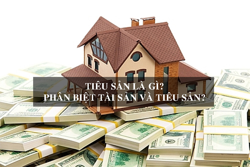 Tiêu sản là gì? Phân biệt tài sản và tiêu sản?