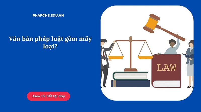 Văn bản pháp luật gồm mấy loại?