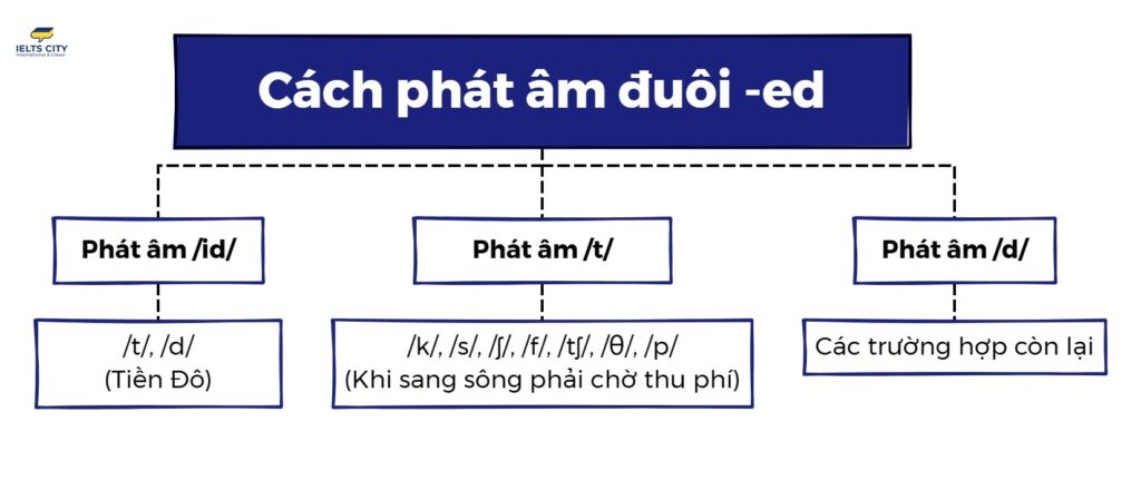 Mẹo nhớ 3 Cách phát âm đuôi ED trong tiếng Anh bằng câu thần chú