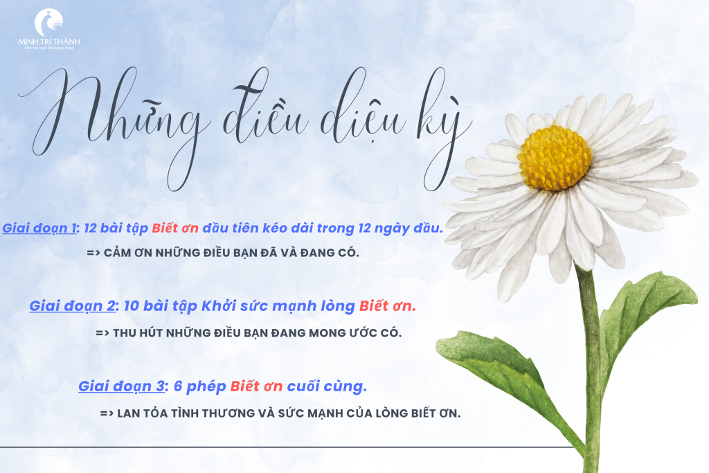 Ý Nghĩa Của Lòng Biết Ơn Trong Cuộc Sống Và Cách Nó Ảnh Hưởng Đến Bạn.