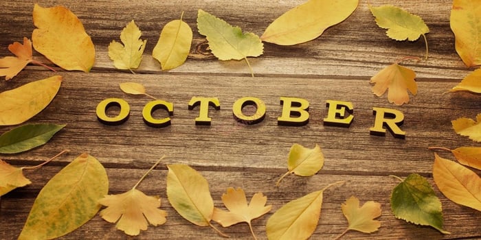 October là tháng mấy trong tiếng Anh? October đi với giới từ gì?