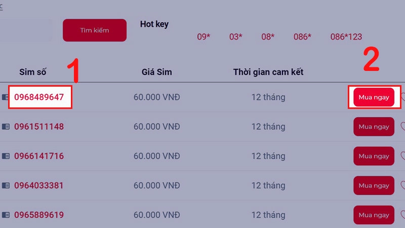 096 là mạng gì? Giải thích ý nghĩa của đầu số 096