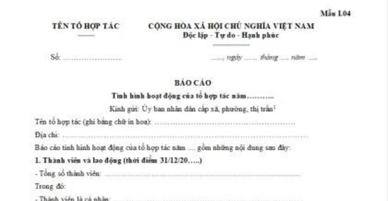 Văn bản báo cáo là gì? Có những loại chế độ báo cáo nào?