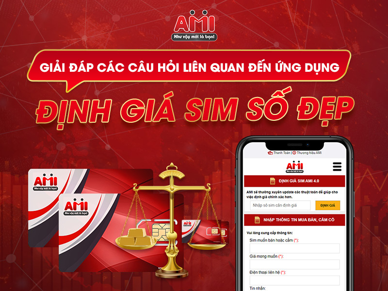 Định giá sim AMI 4.0