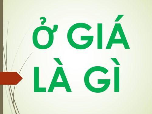 Tìm hiểu từ Ở giá nghĩa là gì?