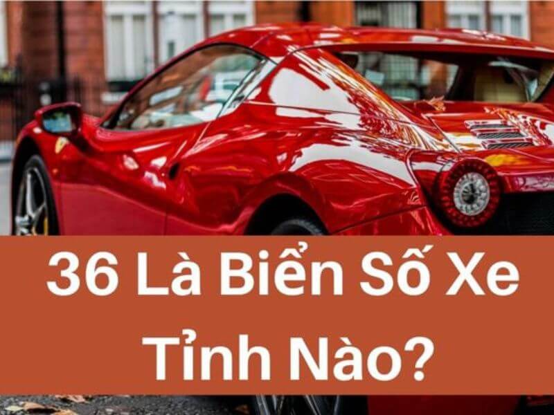 36 là tỉnh nào? Mã biển số xe máy và ô tô chi tiết từng Huyện 2024