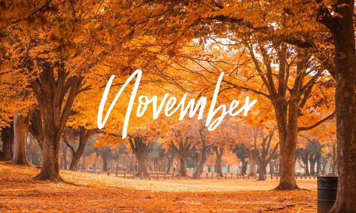 November là tháng mấy? Sinh tháng 11 là cung gì? Tháng 11 có ngày lễ gì?