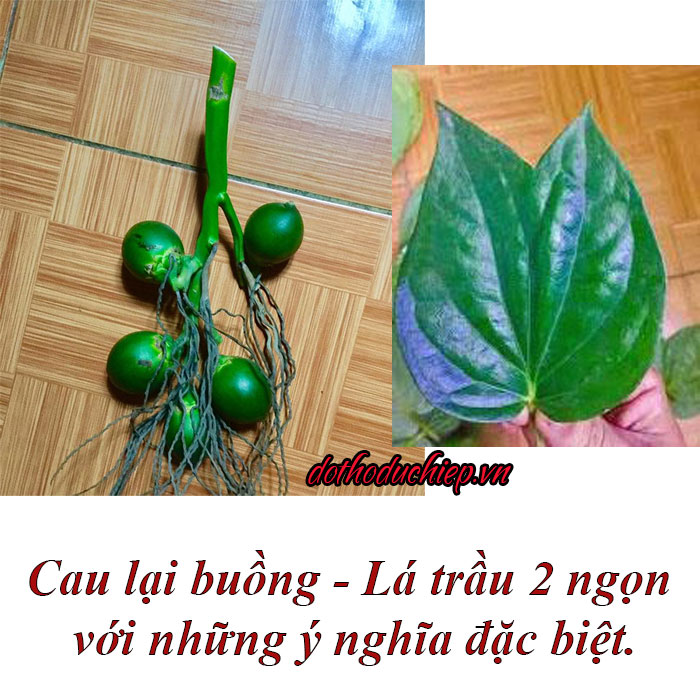 Cau lại buồng - Lá trầu 2 ngọn với những ý nghĩa đặc biệt.