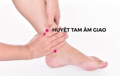 Day huyệt tam âm giao chữa bệnh gì?