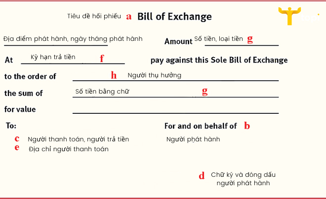 Hối phiếu là gì? Các loại hối phiếu cơ bản hiện nay