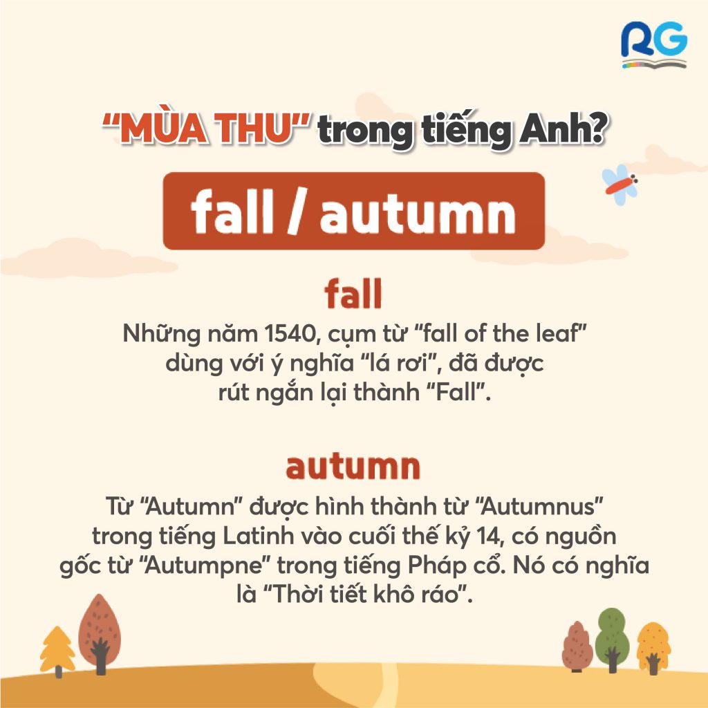 Cùng học từ vựng tiếng Anh mùa thu: FALL hay AUTUMN?- Readinggate