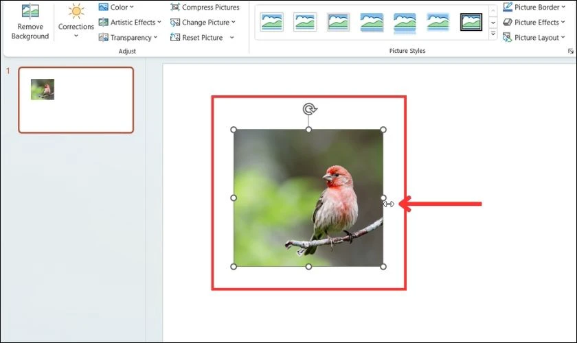 Hướng dẫn cách chèn ảnh vào PowerPoint nhanh, dễ thực hiện