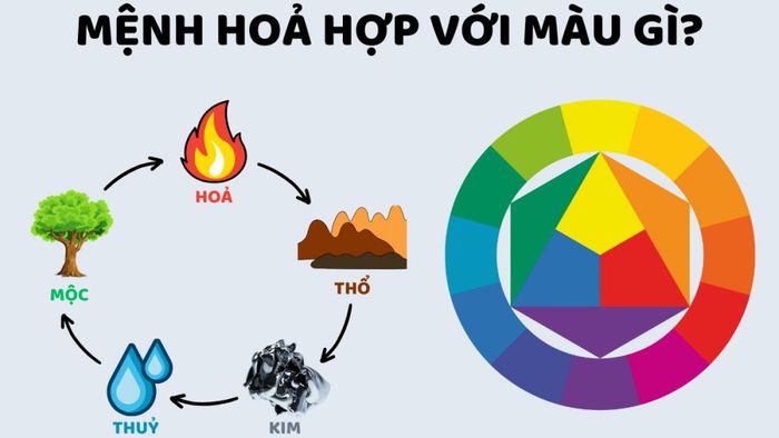 Năm 2008 là năm gì? Người sinh năm 2008 hợp với tuổi gì, màu gì?