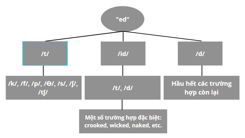 Cách phát âm đuôi ED - Quy tắc phát âm chuẩn trong tiếng Anh