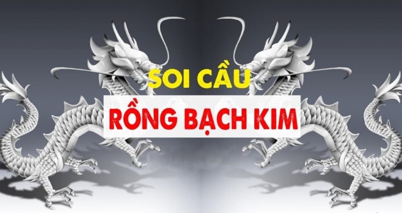 Rồng Bạch Kim- soi cầu 247- nuôi lô khung miền bắc chính xác