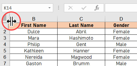 Hướng dẫn cách ẩn và hiển thị các dữ liệu trong Microsoft Excel