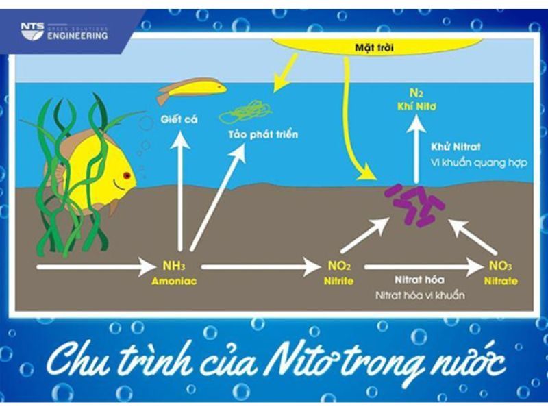 Trang chủ - Công ty TNHH Kỹ thuật NTS